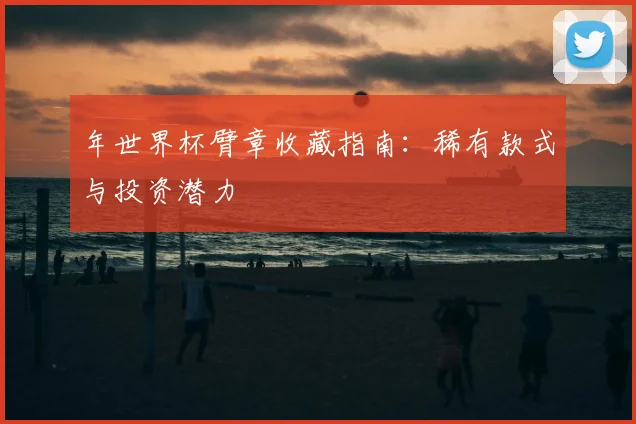 年世界杯臂章收藏指南：稀有款式与投资潜力