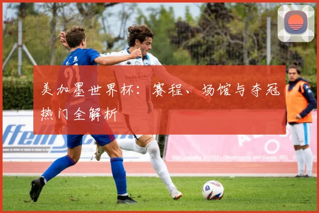 美加墨世界杯：赛程、场馆与夺冠热门全解析